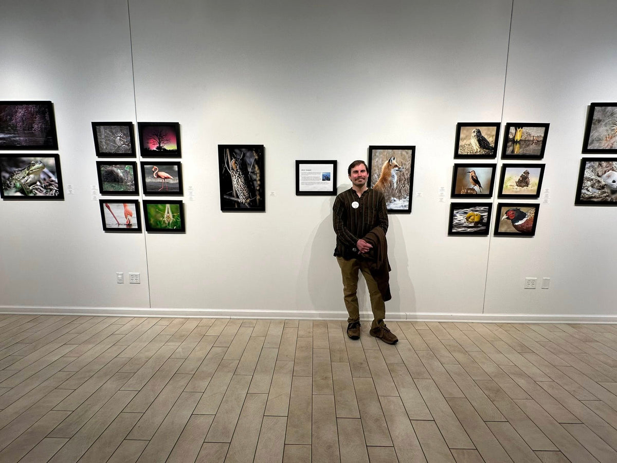Man standing in an art gallery with framed photographs on the wall.