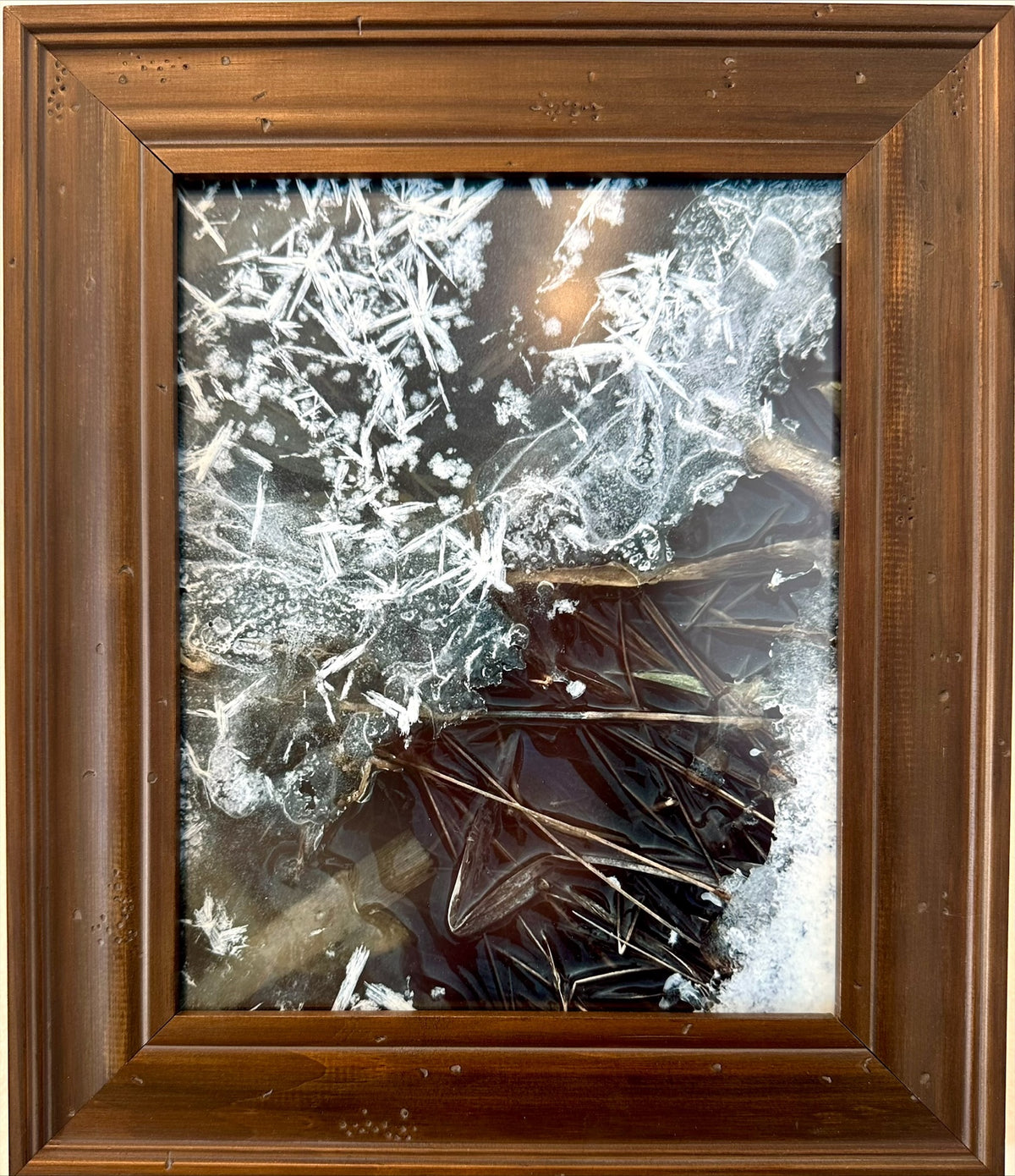 Winter Contrast | Patrick Caulfield | Fine Art Photography | Framed